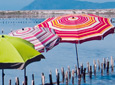 Parasols 