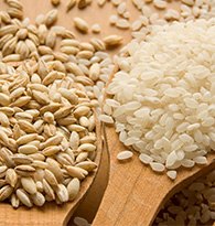 Riz, pur�e et c�r�ales