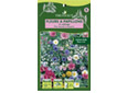 Assortiments de fleurs