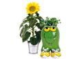 Jardiniers en herbe