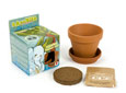Mini kit plantation