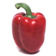 Poivron rouge