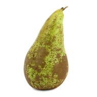 Poire Conférence