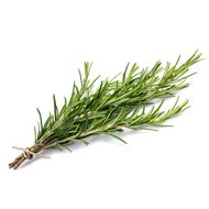 Romarin, Sachet de 30g