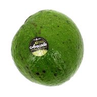 Avocat Tropical avion (gros), 1 pièce