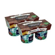 Mamie Nova Gourmand chocolat menthe, 2 packs de 2x150g