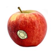 Mouneyrac Pomme Elstar