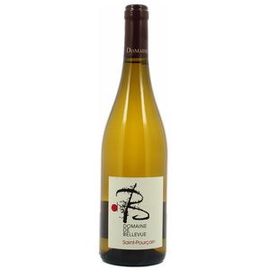 Livraison à domicile SaintPourcain Blanc AOC Domaine de Bellevue, 75cl