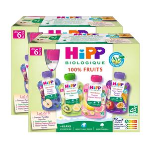 Hipp Biologique Gourdes Multipack SMOOTHIES 3 Variétés Dès 12 Mois - 32 Gourdes De 120 Ml