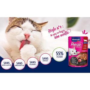 VITAKRAFT - Nourriture Chat « Poésie » - Alimentation Humide Complète Pour  Chat - À Base de Viande et Poisson En Gelée (Dinde, Saumon) - 6 Sachets de  85 g : : Animalerie