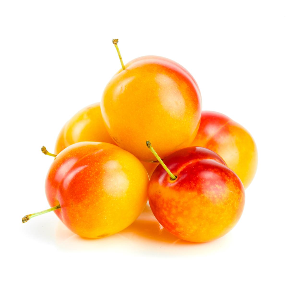 2050000340000 -  - Mirabelle 