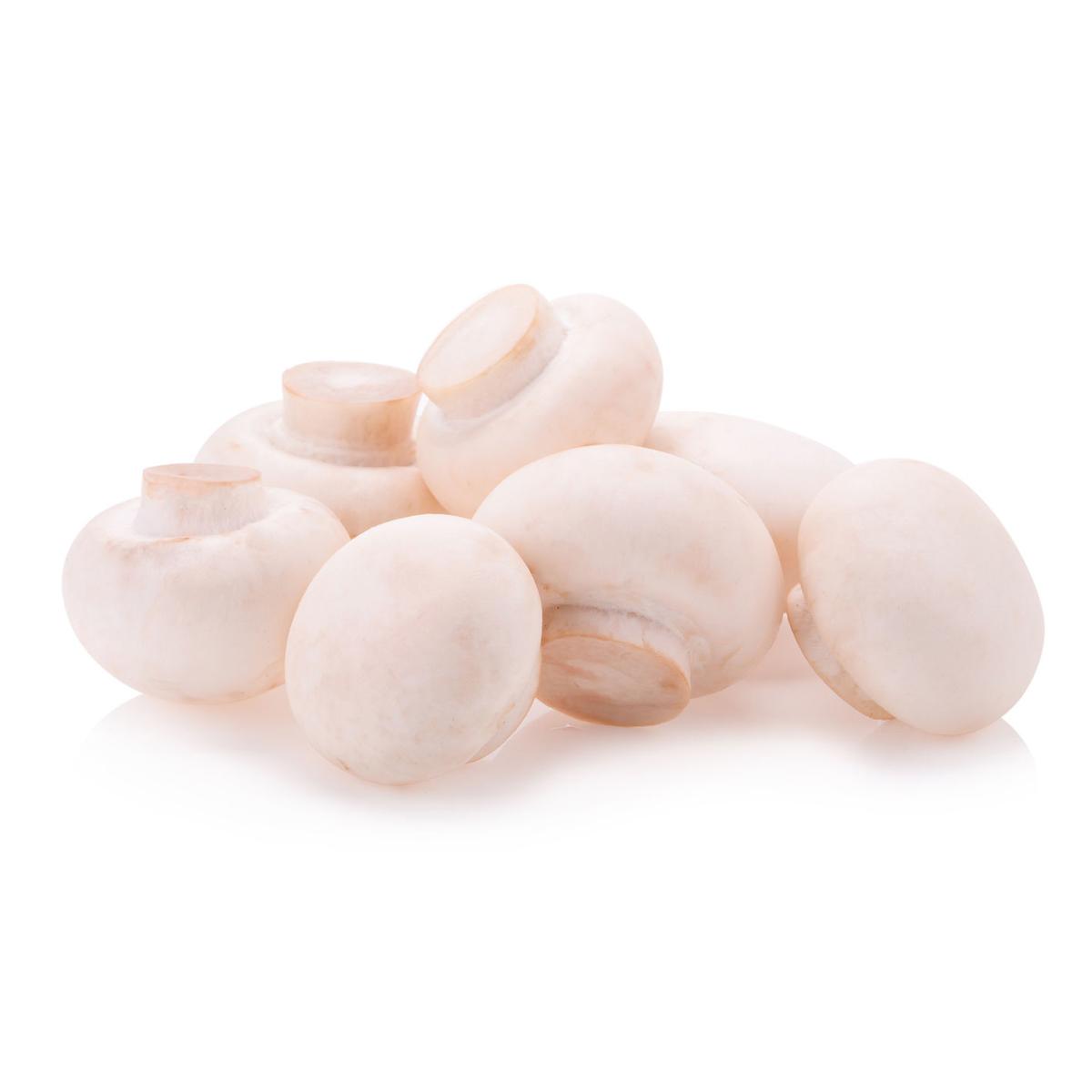 3700552800000 - Lou - Champignon de Paris Blanc (petit)
