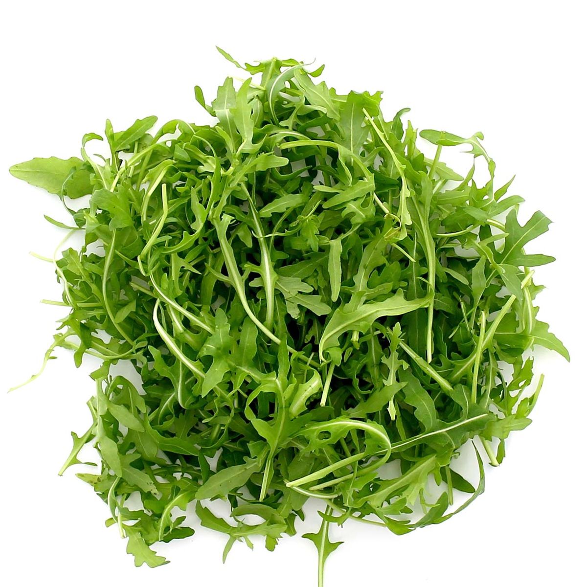 0376011446105 - PicVert - Salade Roquette