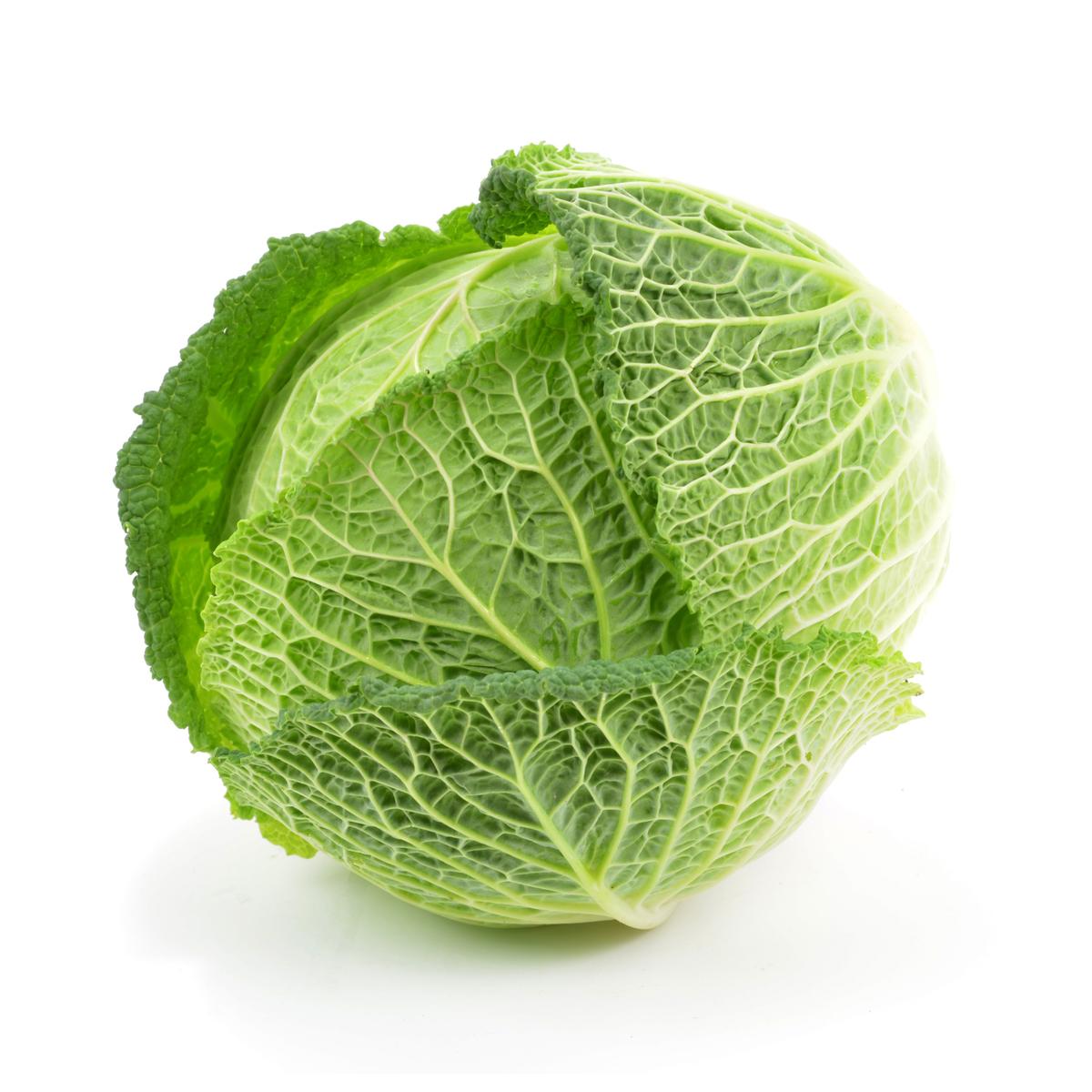 3354860286201 -  - Chou Vert Frisé