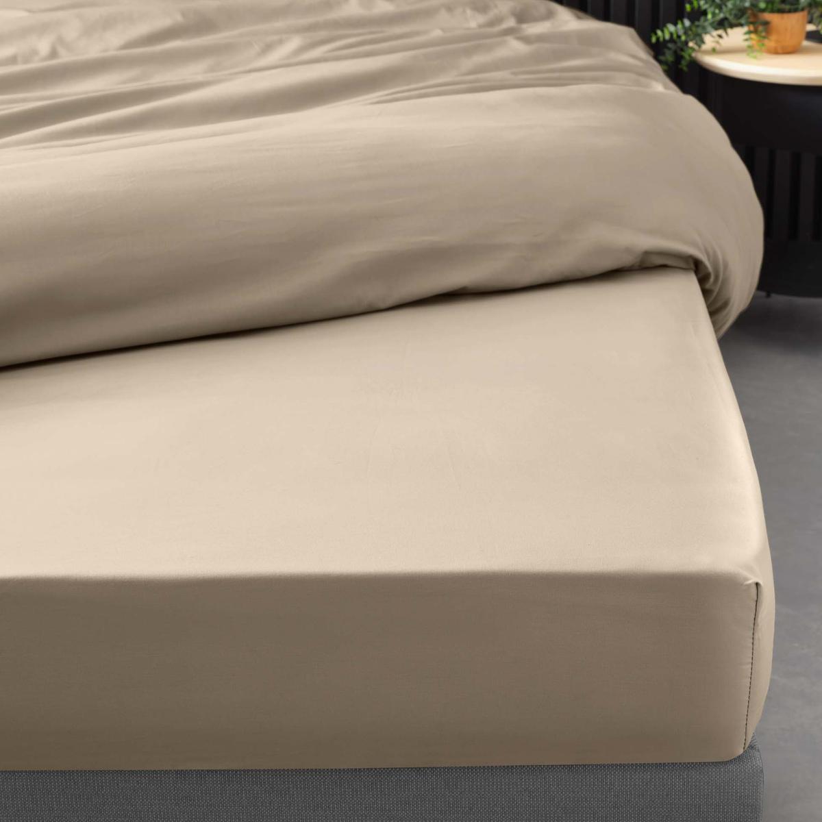 3574386446501 - Douceur D Interieur - Drap housse sable 2 personnes