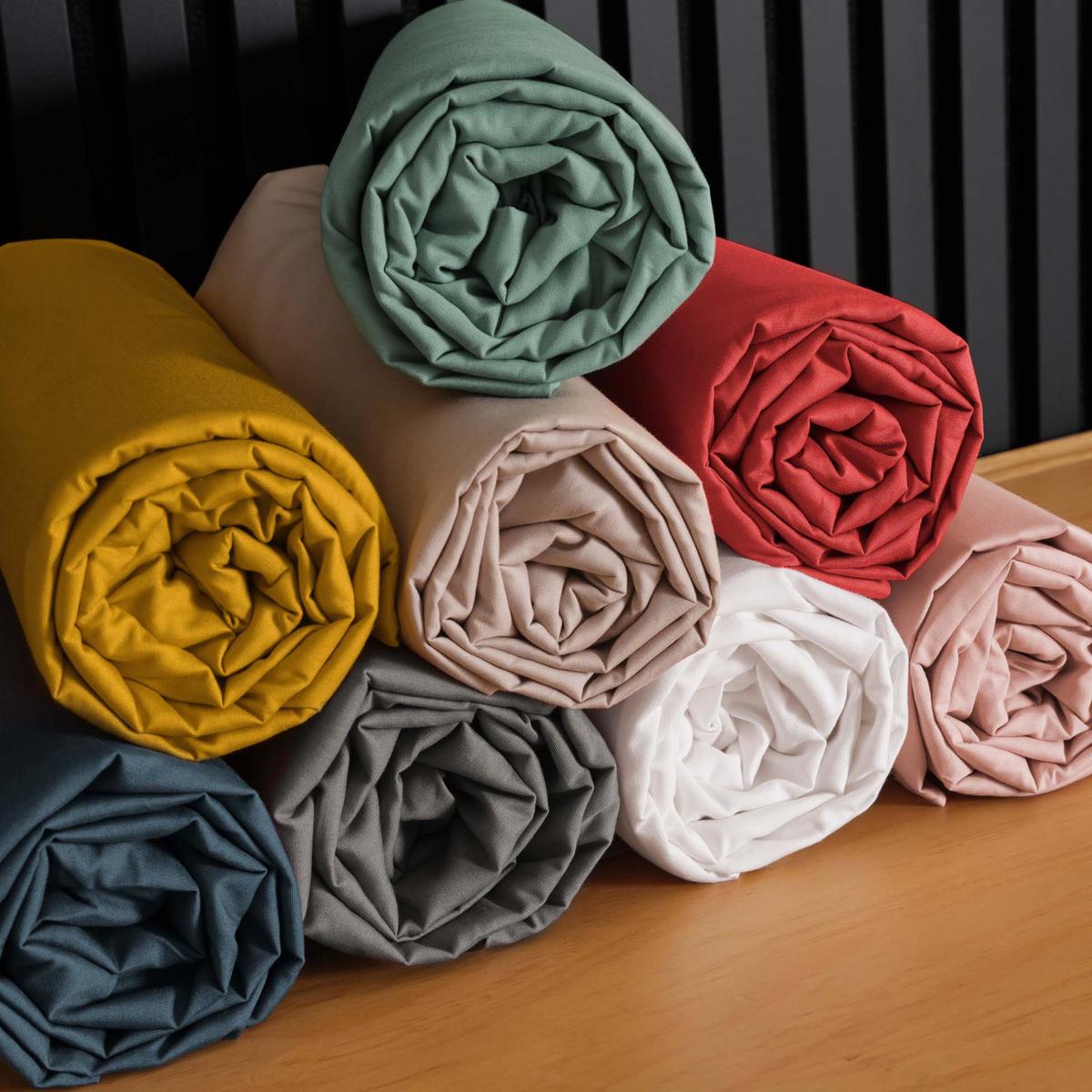 3574386446501 - Douceur D Interieur - Drap housse sable 2 personnes