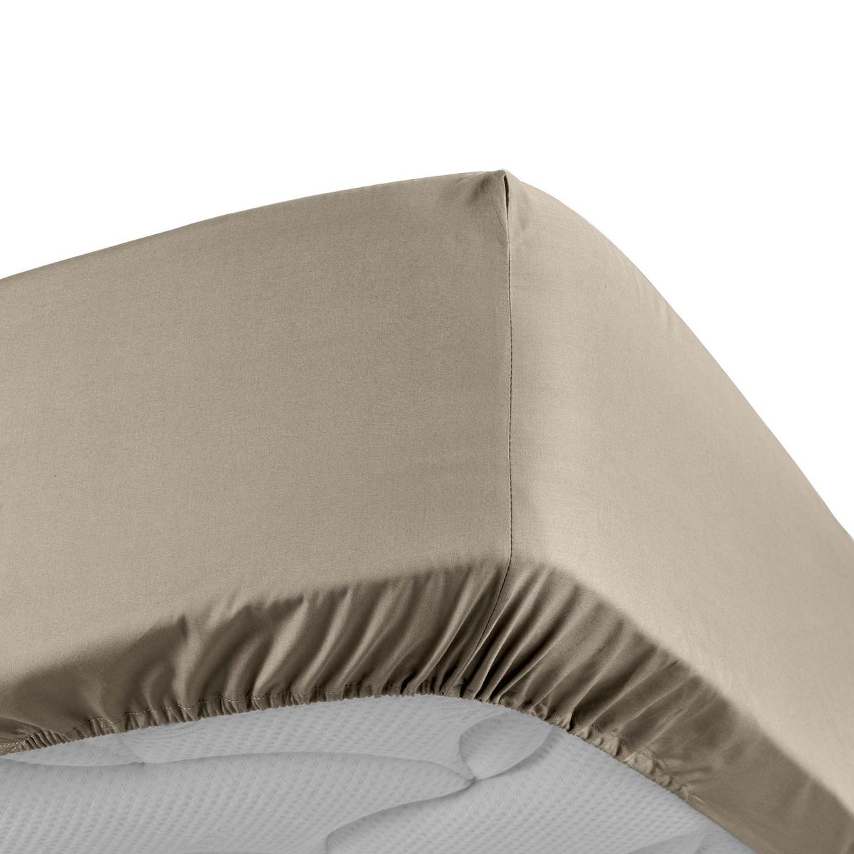 3574386446501 - Douceur D Interieur - Drap housse sable 2 personnes