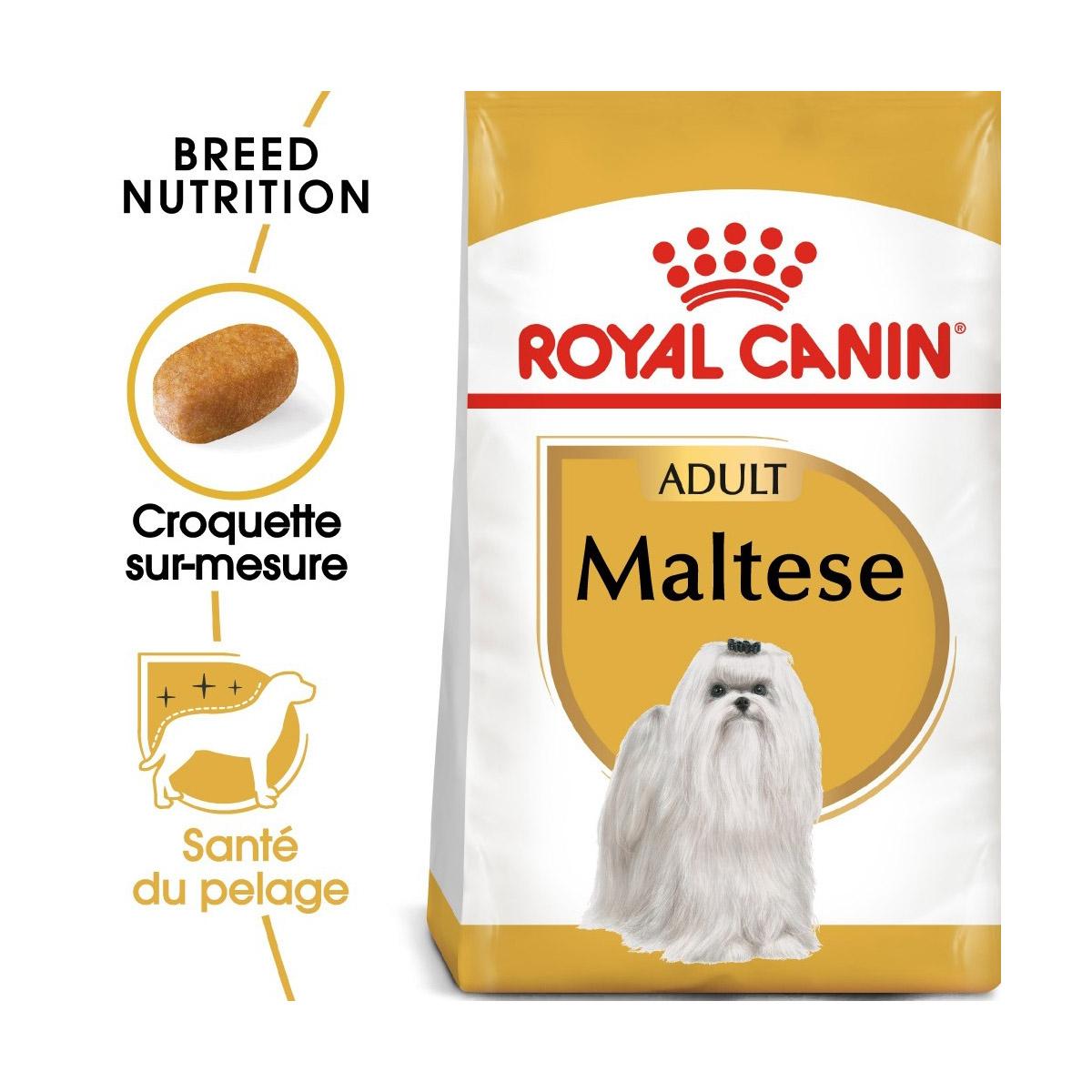 3182550782203 - Royal Canin - Croquettes sur mesure Santé du Pelage pour Chien Bichon Maltais adulte