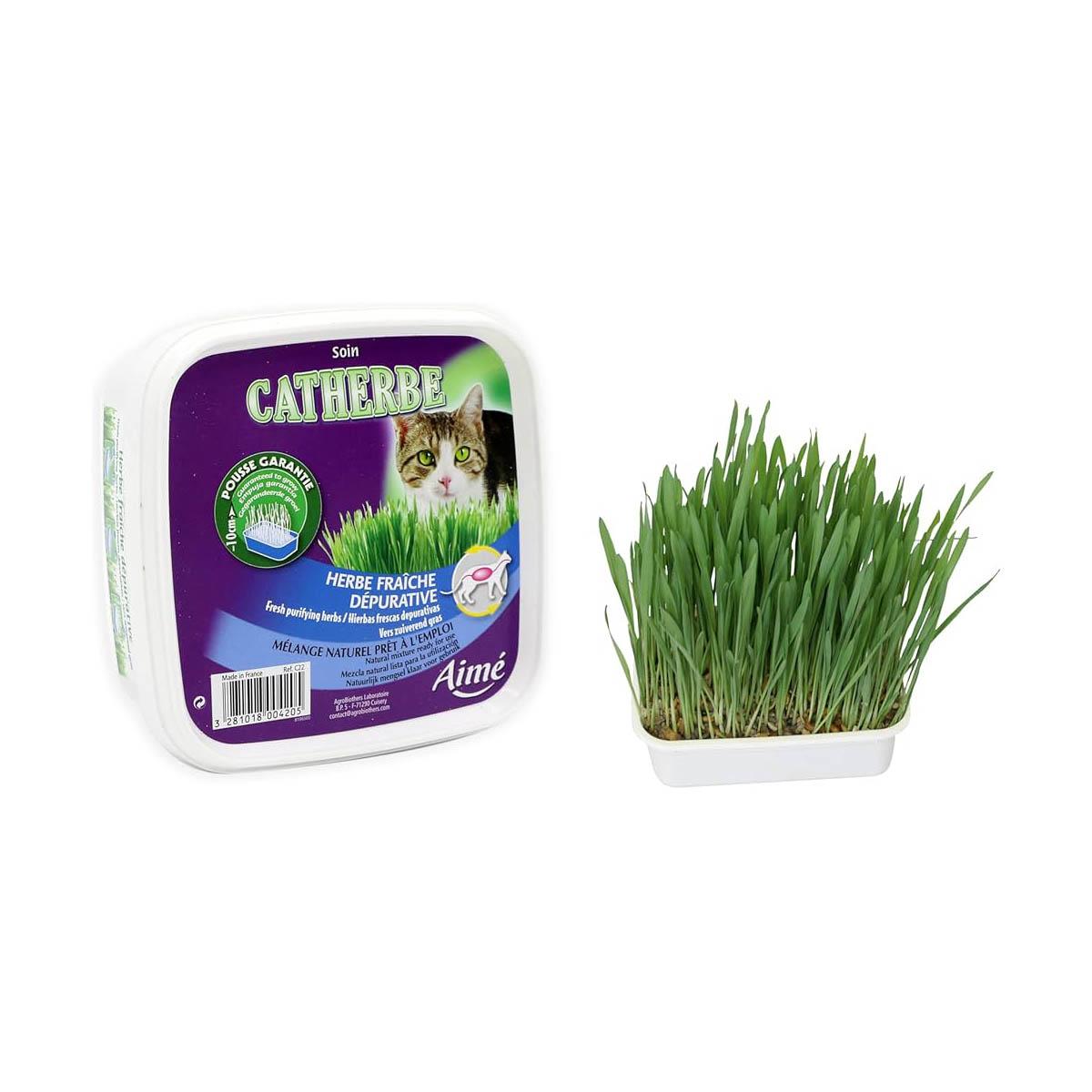 3281018004205 - Aime - Herbe à Chat Dépurative Catherbe