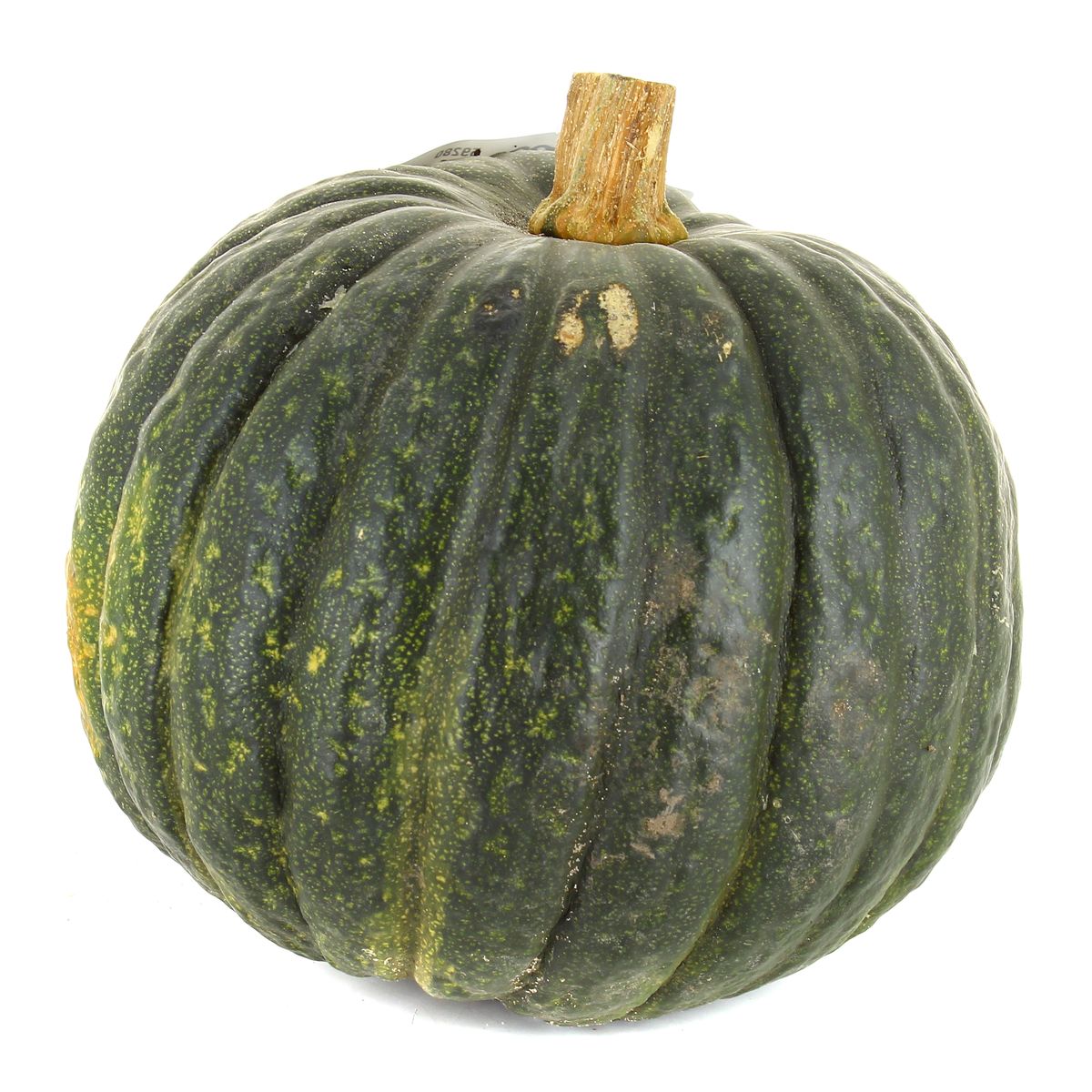 2050000361807 - - Courge Shiatsu