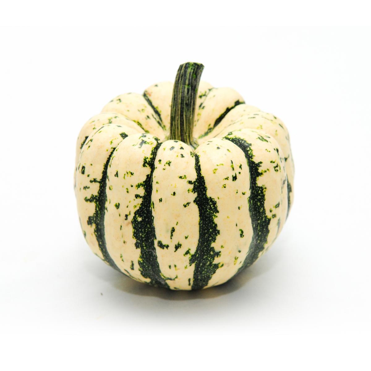 2050000343407 -  - Courge Patidou