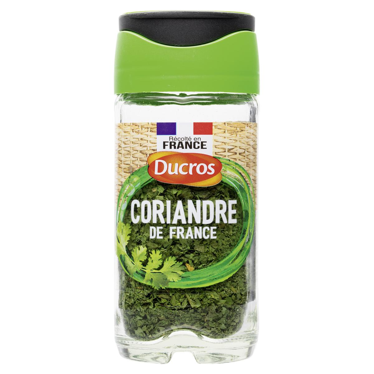 3166291529808 - Ducros - Coriandre en feuilles