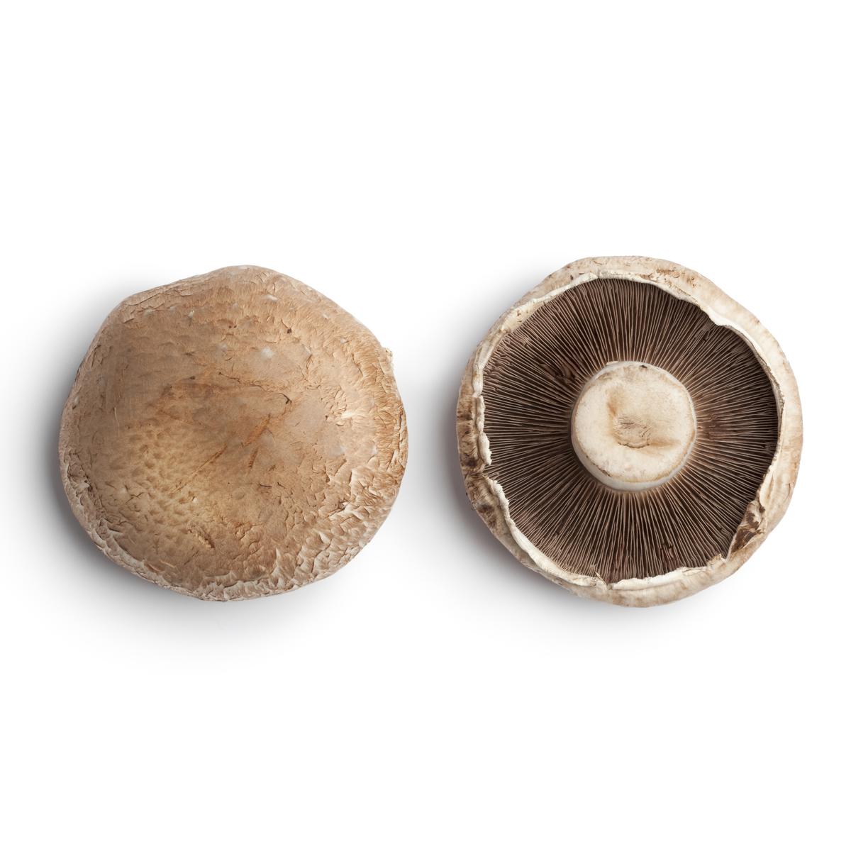 3700552800109 - - Champignon Portobello