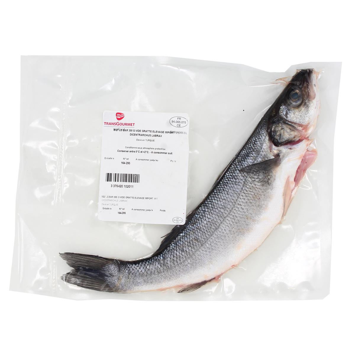 3376420102011 - Transgourmet Seafood - Bar entier