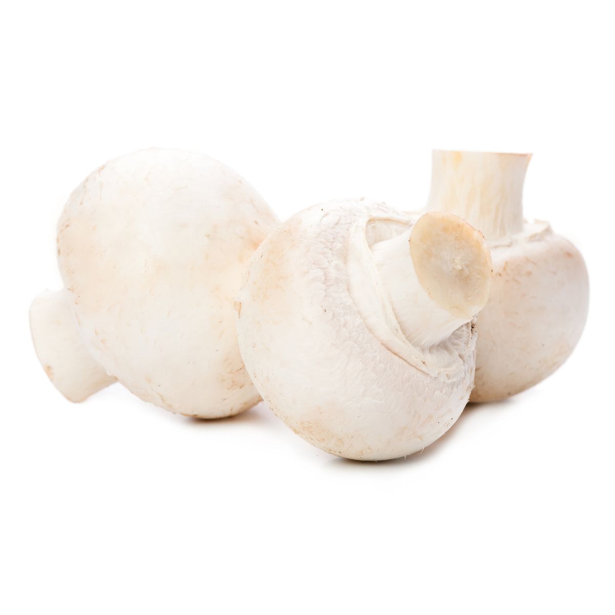 3760130210232 -  - Champignon de Paris Blanc