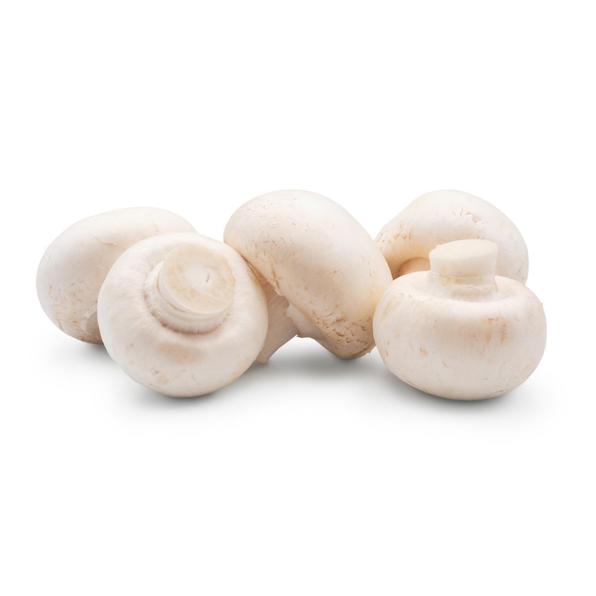 3760074478811 - Les Paysans Bio - Champignon Blanc Bio
