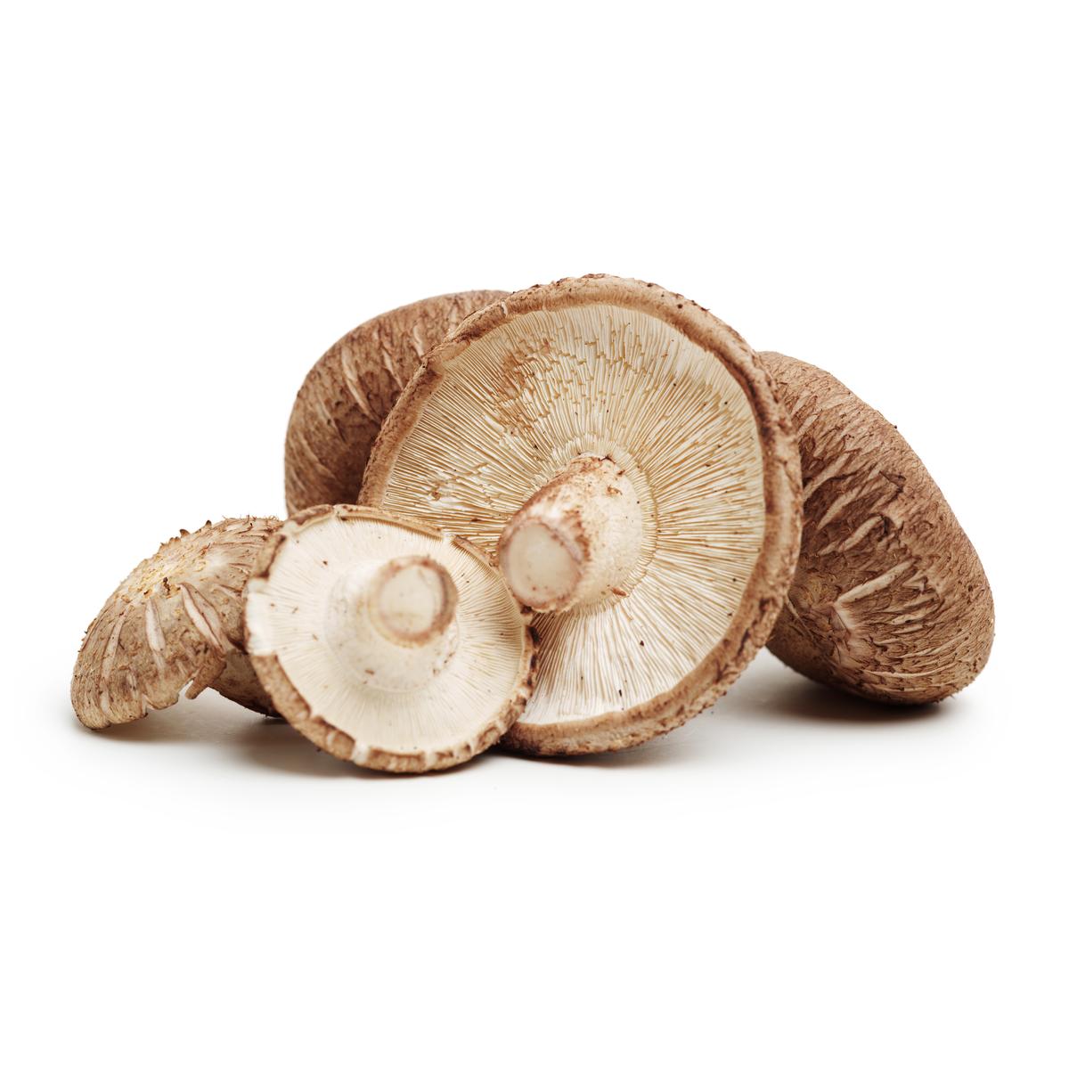 2050000374012 - - Champignon Shiitake