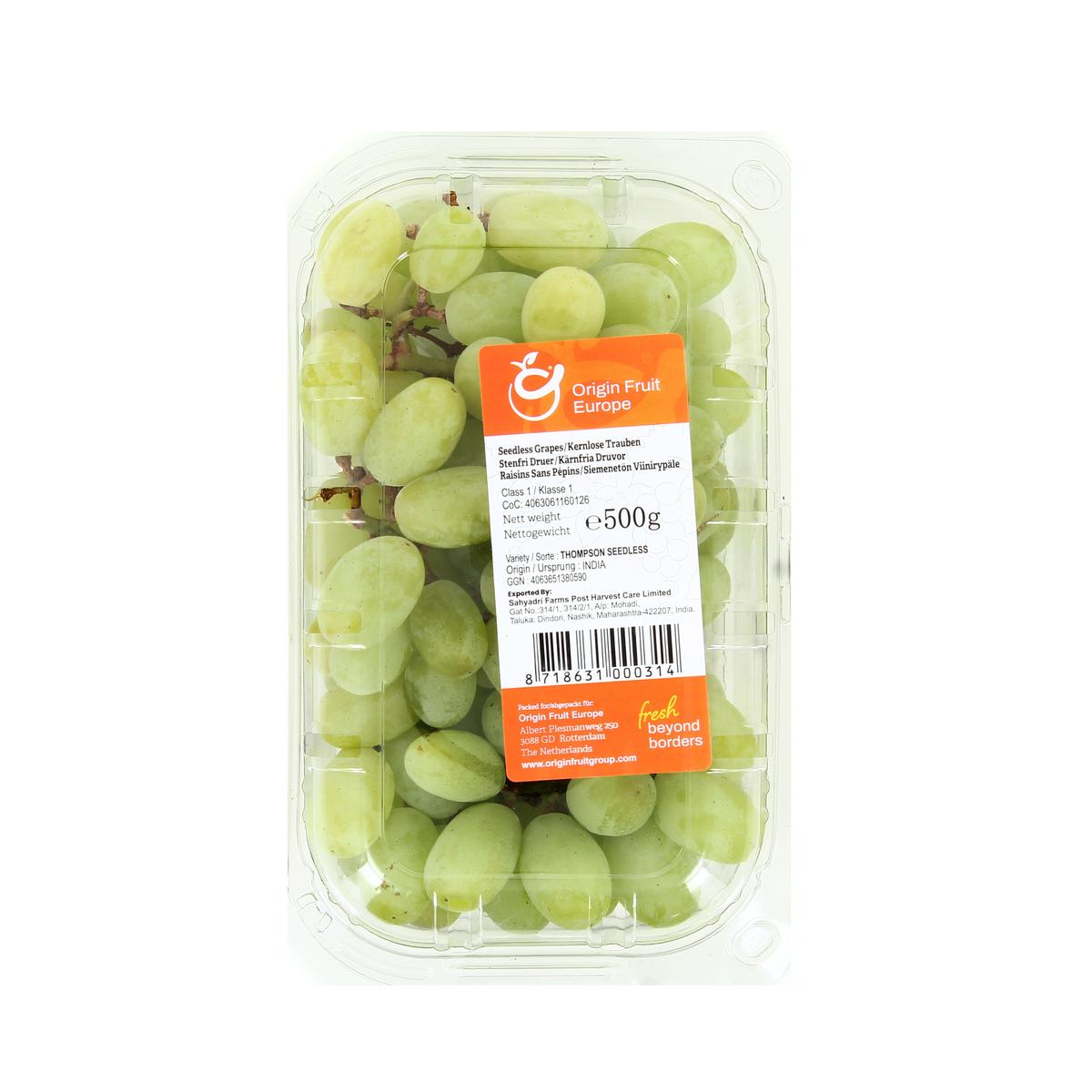 8718631000314 - - Raisin blanc sans pépins