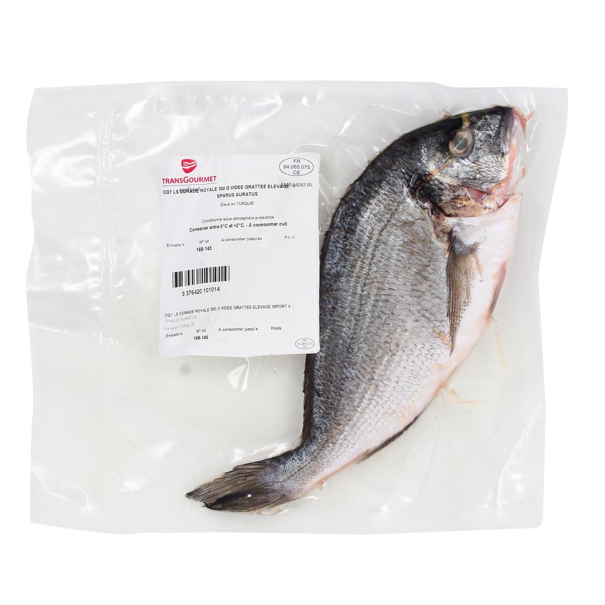 3376420101014 - Transgourmet Seafood - Dorade entière