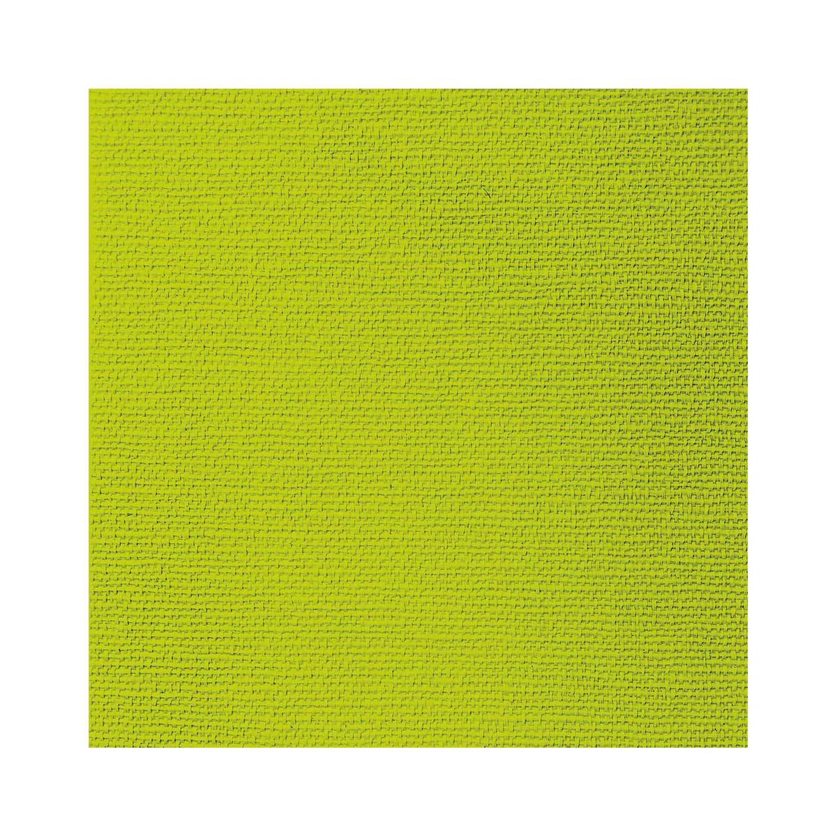 4021766308014 - Paperproducts Design - Serviettes en papier Vert anis