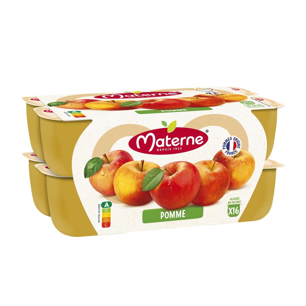 3021760290415 - Materne - Compote de Pomme