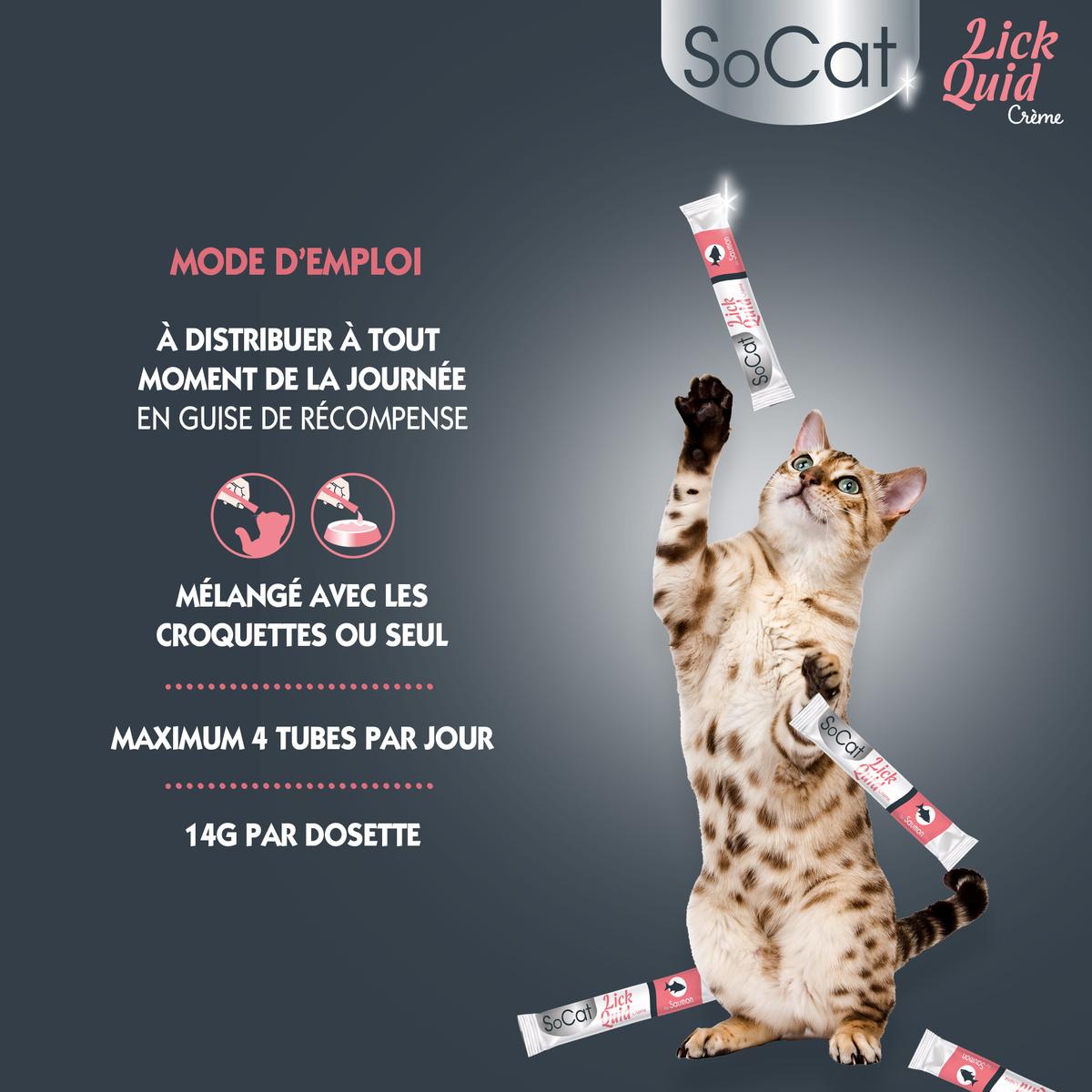Dokas Smoothie Au Saumon Pour Chats - Snack Crémeux Et Sain - Récompense Ou Topping