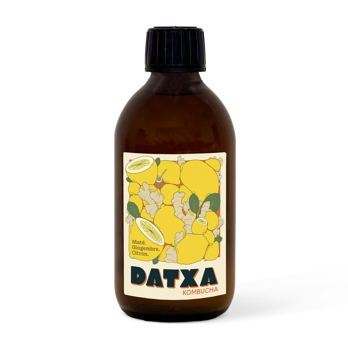 3770025192017 - Datxa - Kombucha Maté Gingembre Bio