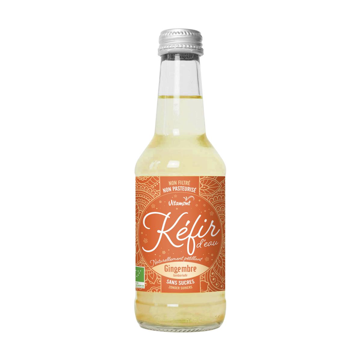 3289196820419 - Vitamont - Kéfir Gingembre bio