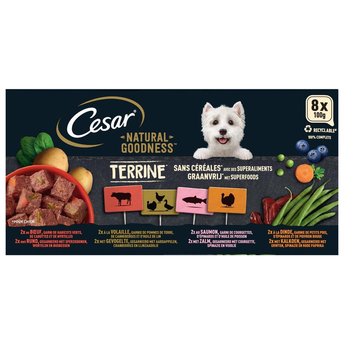 4008429165719 - César - Barquettes Terrine sans Céréales Natural Goodness 4 variétés pour chien adulte