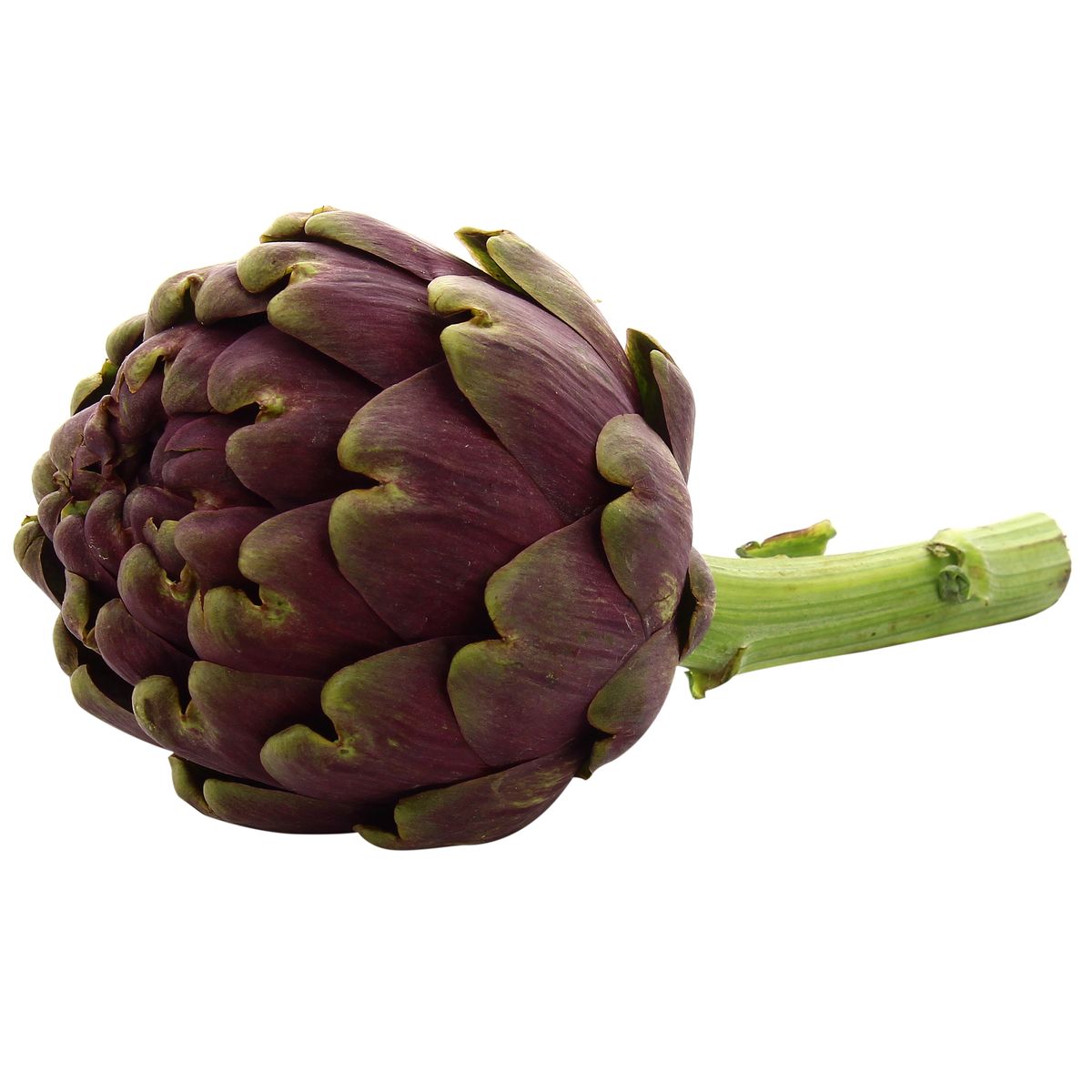 2050000373220 -  - Artichaut violet 