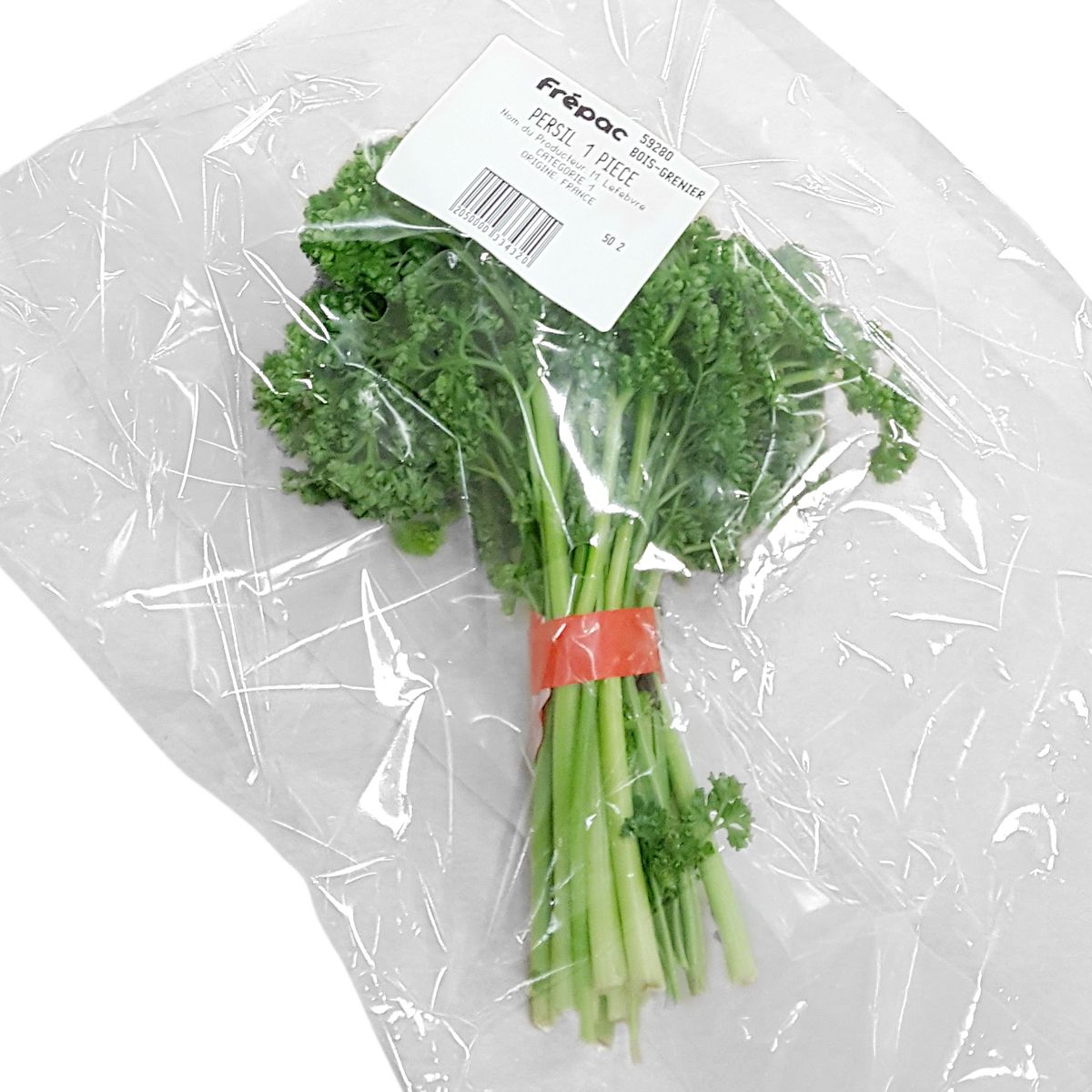 3760270390214 - - Persil frisé