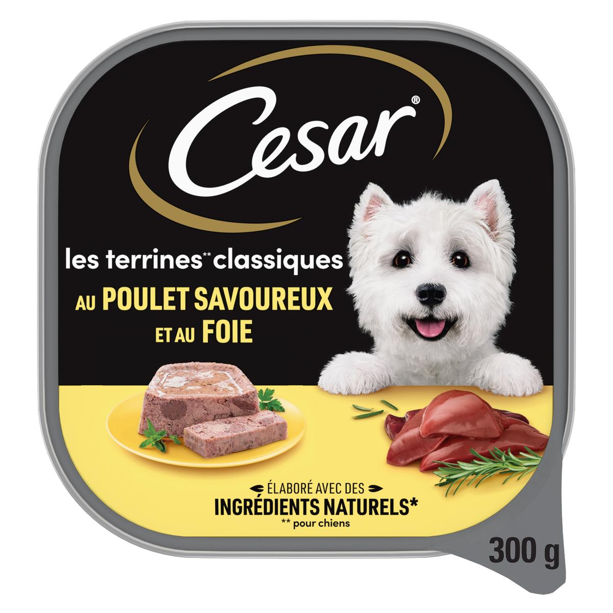 César Pour Chien Avis Vétérinaire