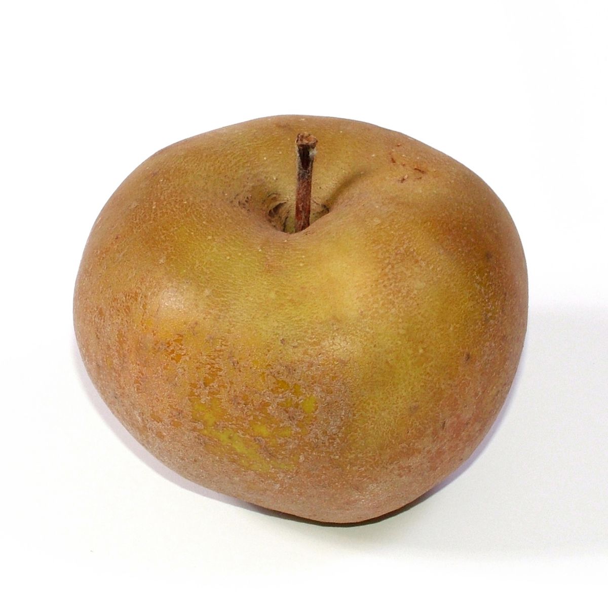 3760198580124 - Le Vieux Pointet - Pomme Reinette Grise du Canada