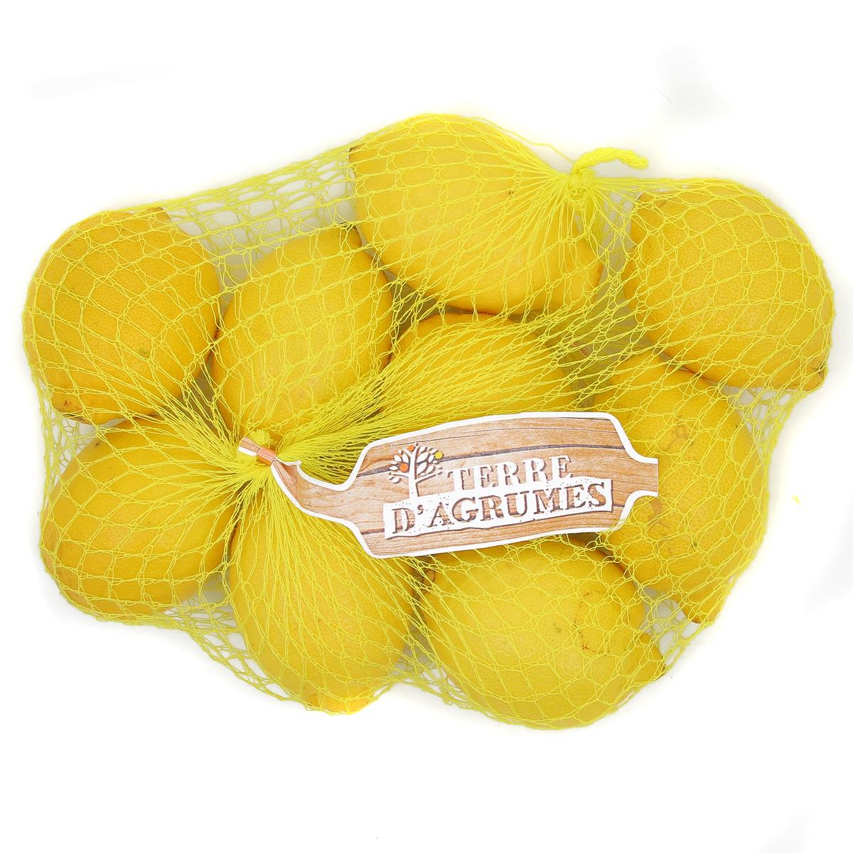 8414196100826 - Mademoiselle - Citron