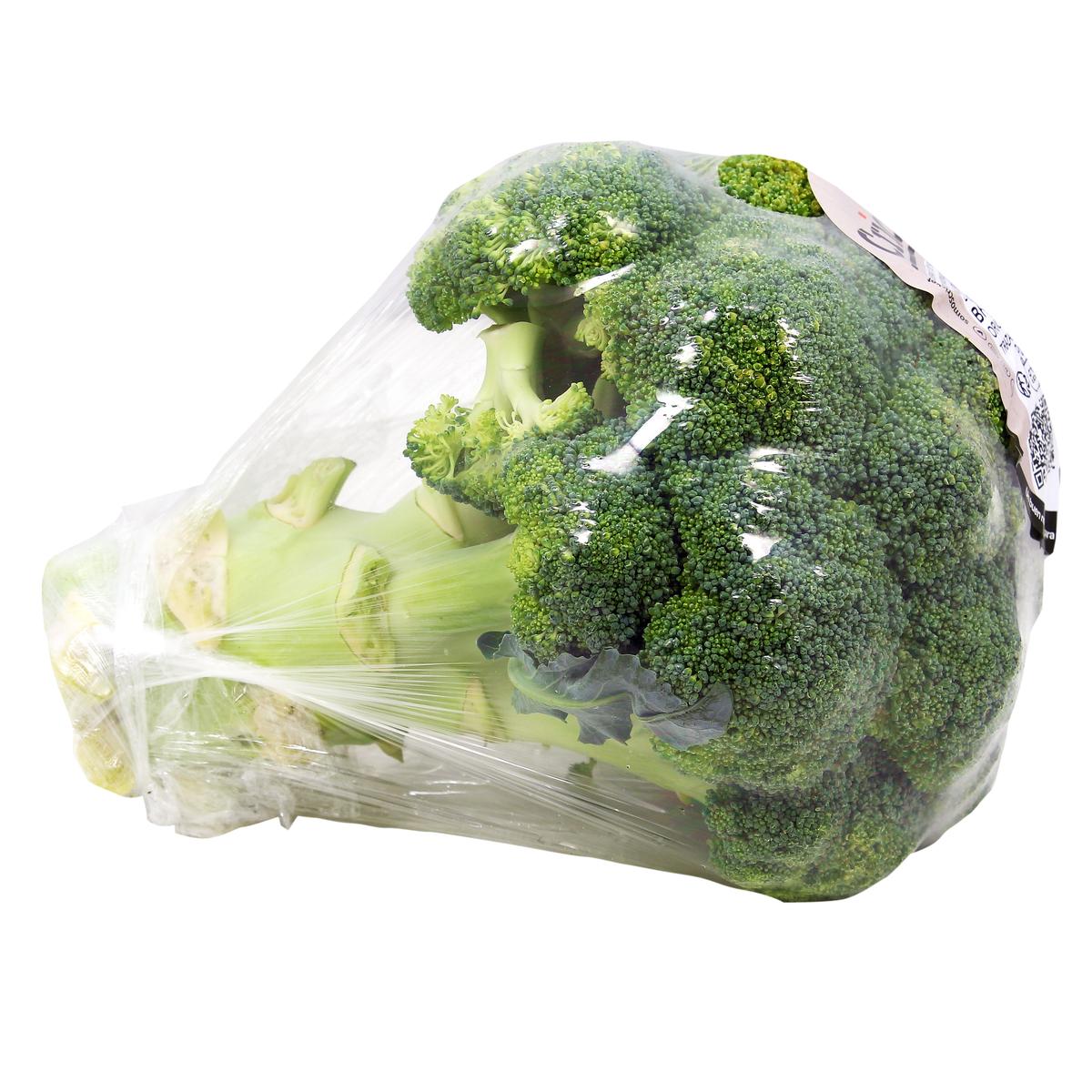 3606760065326 - - Brocoli