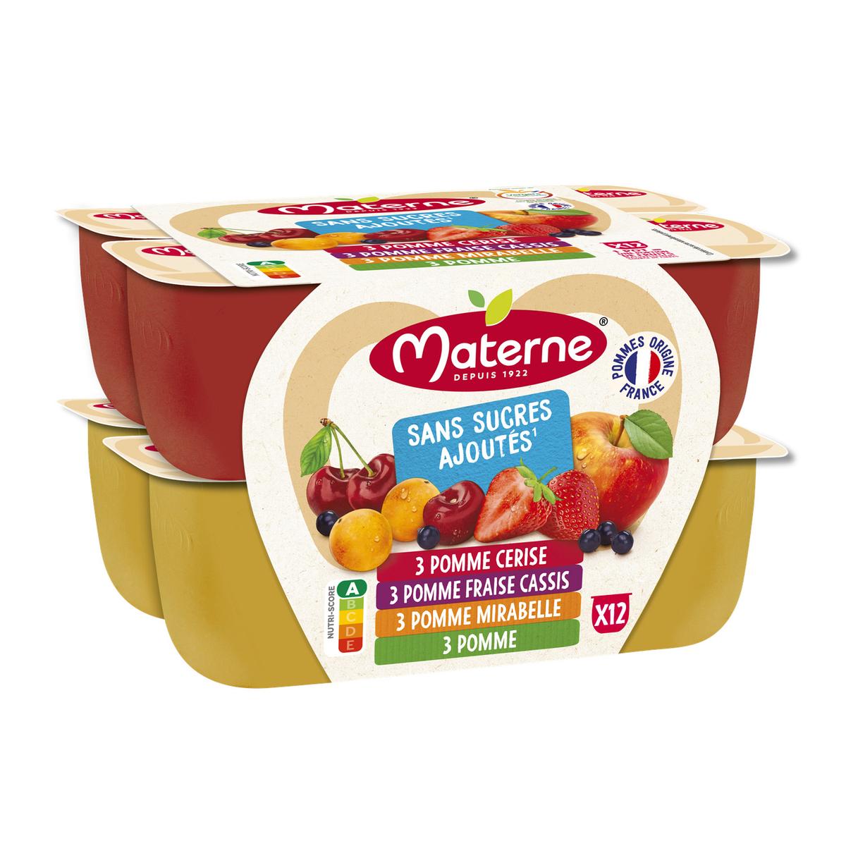 3021760291429 - Materne - Compotes Multivariétés sans sucre ajouté