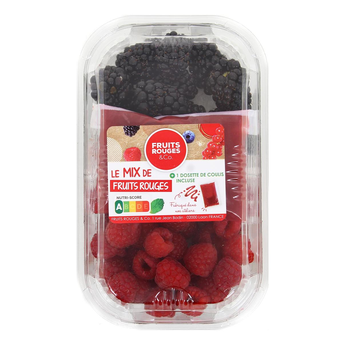 3385635069132 - Fruits Rouges & Co - Duo Framboise / Mûre + coulis