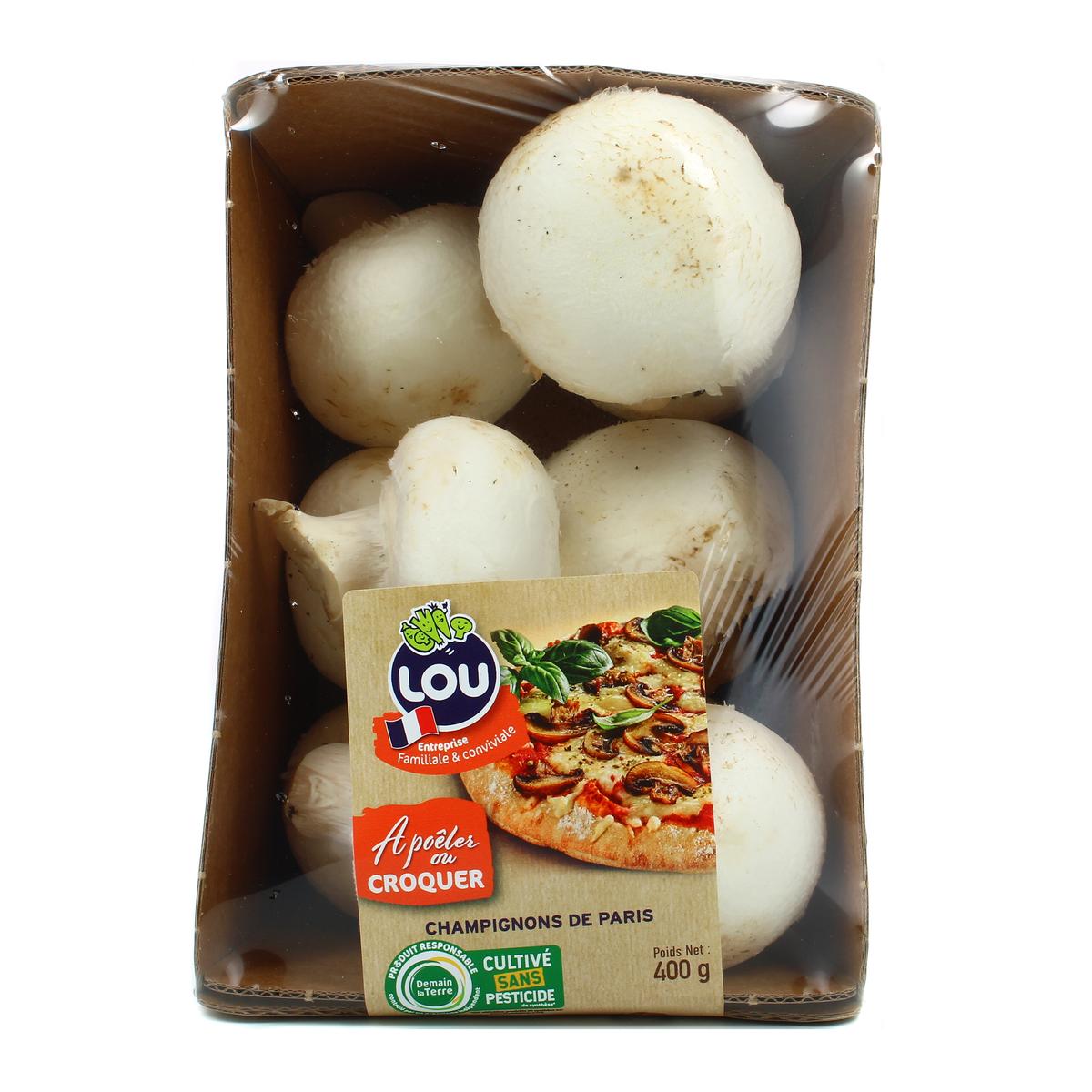 3700552800635 - - Champignon brun