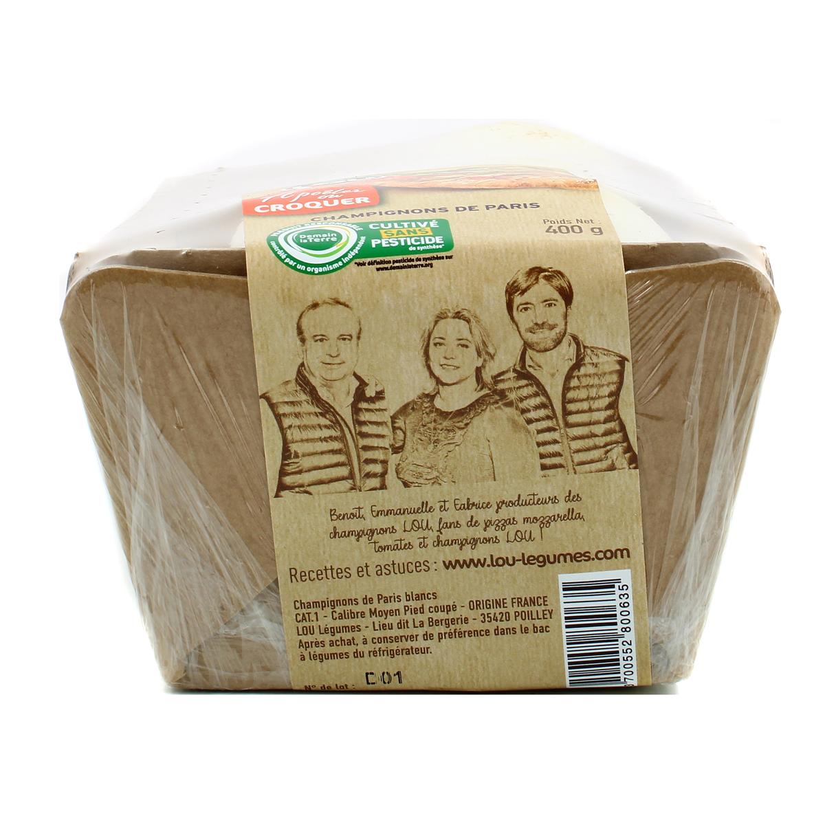 3700552800635 - - Champignon brun