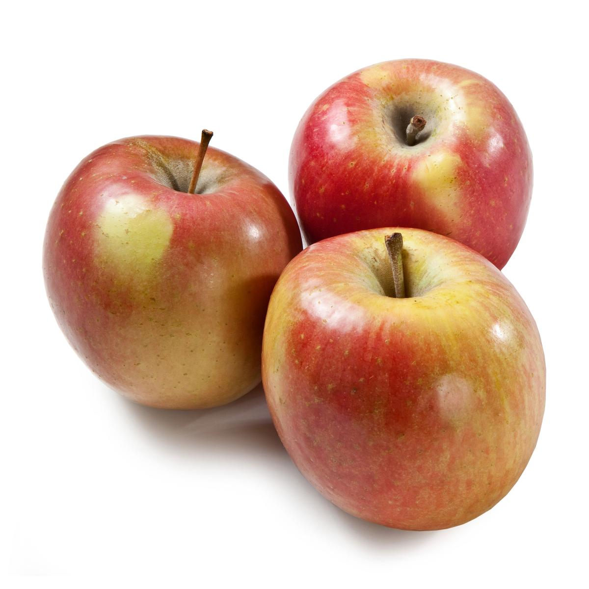 2050000335235 - Mouneyrac - Pomme Fudji